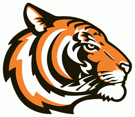 Princeton Tigers 2003-Pres Alternate Logo v2 DIY iron on transfer (heat transfer)